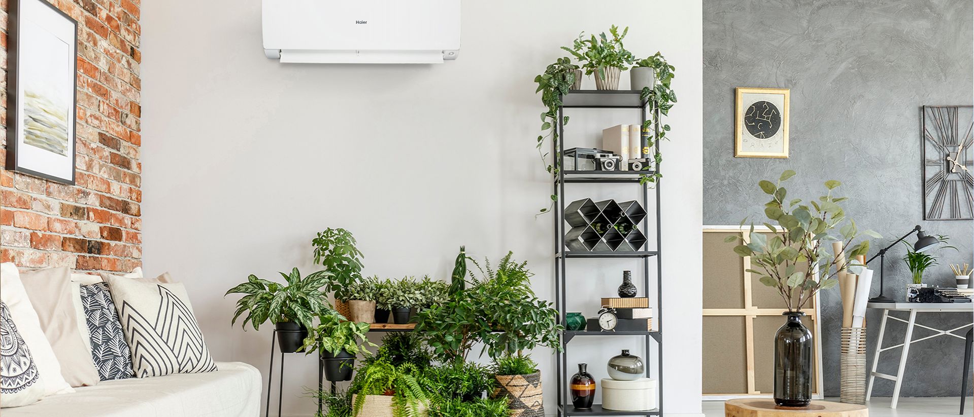 ​​Inquinamento indoor: le piante da appartamento lo riducono fino al 20%